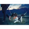Nite Ize Nite Dawg LED Collar Small flashlights N03752