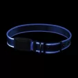 Nite Ize LED Dog Collar flashlights N04790