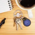 Nite Ize Medallion Key Carabiner flashlights N05454