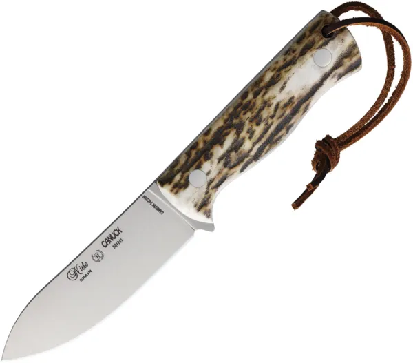 Nieto Canuck Mini Fixed Blade Stag NIE2043C
