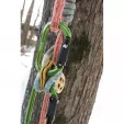Notch Equipment Oval Carabiner Green NOT36677