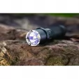 Nextorch P8 Flashlight flashlights NXP8