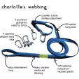Outdoor Element Charlottes Web Camp Organizer ODECWCO