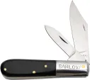 Pakistan Barlow Horn - PA202823