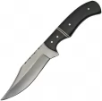 Pakistan Skinner - PA203411