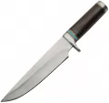 Pakistan Bowie - PA203418