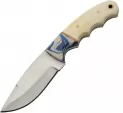 Pakistan Seaside Hunter - PA203461