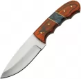 Pakistan Burnt Wave Hunter - PA203462