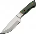 Pakistan Emerald Wave Hunter - PA203463