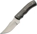 Pakistan Ash Hunter - PA203507