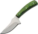 Pakistan Umbra Forest Skinner - PA203508