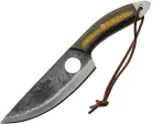 Pakistan Bruin Skinner - PA203513