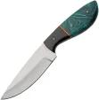 Pakistan Verdant River Hunter - PA203521