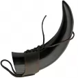 India Made Viking Horn - PA230983