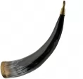 Pakistan Stallion Horn - PA230985HR