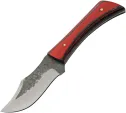 Pakistan Torch Skinner - PA4455