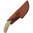 Rite Edge Curved Stag Skinner knives PA8029