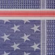 Camcon Shemagh USA Stars - PF61100