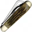 Queen Gamecock Winterbottom Bone QN10WB