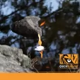 QuickSurvive Fire Starter 12 Pack QSVQS12