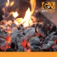 QuickSurvive Fire Starter 50 Pack QSVQS50