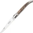 Robert David Laguiole Folder Stag - RD91812
