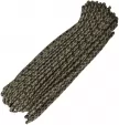 Atwood Rope MFG Parachute Cord Veteran 100ft - RG1122H