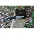 RUIKE D198 Linerlock Black RKED198PB