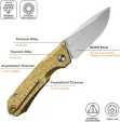 REMETTE Rhino Button Lock Ti Gold RMTRNTB2