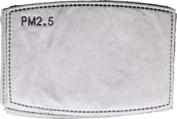 Real Steel Replacement Filter Bag of 10 RSKZ1202