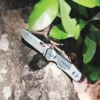 ROXON Phantasy Linerlock RXS502
