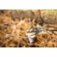 Readyman Campfire Skewer 3 pack RYM11