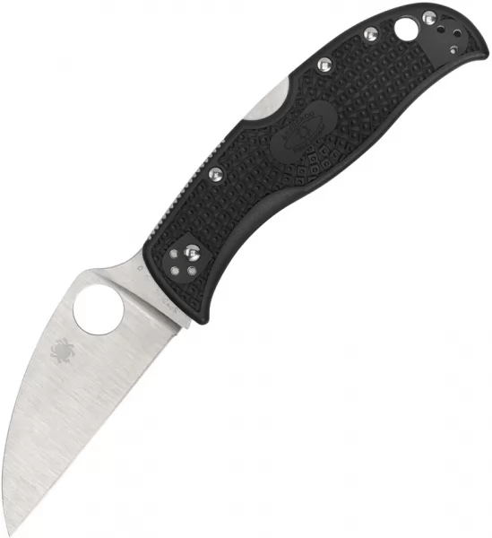 Spyderco RockJumper Lockback Black knives SC254PBK