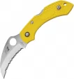 Spyderco Dragonfly 2 Salt Lockback - SC28SYL2HB