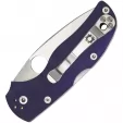 Spyderco Native 5 Lockback Blue knives SC41GPDBL5