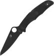 Spyderco Pacific Salt 2 Lockback Black - SC91PBBK2