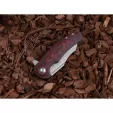 Shieldon Tranchodon Linerlock SHI7093D1