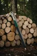 Silky Katanaboy Professional 700mm SKS76070