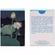 Speedhook Edible and Poisonous ID Cards SPKEPPEIC