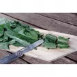 Swiss Advance CRONO N5 Multi Tool SSA30353
