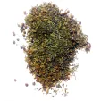 Swiss Advance HERBOLUX Spice Mix SSA32654