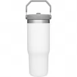 Stanley The IceFlow Flip Straw Tumbler STA9993001