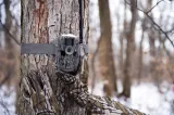Stealth Cam Fusion Max Cellular Trail Cam STC06013