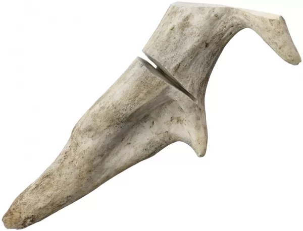Silver Stag Antler Tip Stand knives SVSTIP