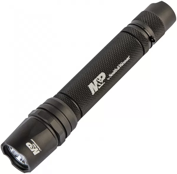 Smith & Wesson Delta Force MS 2XAA SWL1078456