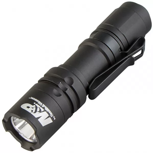 Smith & Wesson Delta Force CS 10 SWL110146