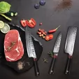 Tuo Cutlery Ring-D Knife Set TC0314D