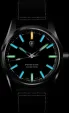 ProTek ProTek Field Watch 3002 Series TMEPT3002