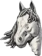 TS Brown Horse Head Pin - TSBA1