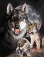 Tin Signs Graham Wolf Experience - TSN0914
